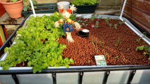 IMG_20160608_080619561_HDR