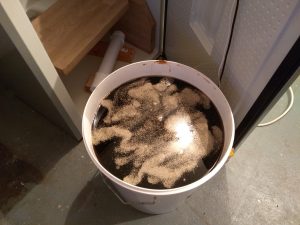Brew with yeast on top